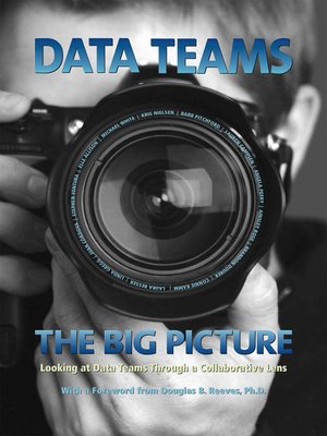 cover image of Data Teams: The Big Picture